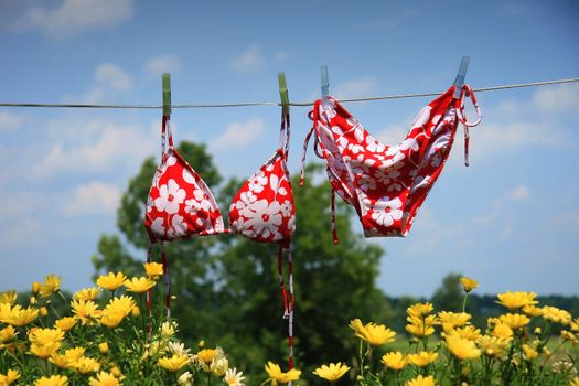  Bikini drying with wild flowers