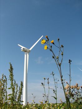 windmill behind wild flowers