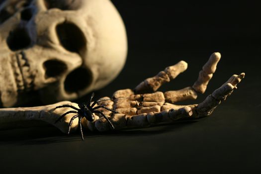Scary skeleton