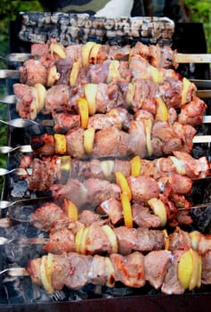 shish kebab (shashlik) on picnic