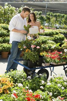 Young Couple Shopping Together at Garden Nursery