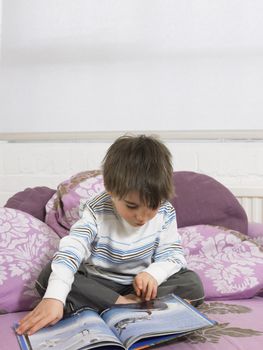 Boy Reading Picture Book