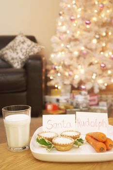 Food for Santa and Rudolph