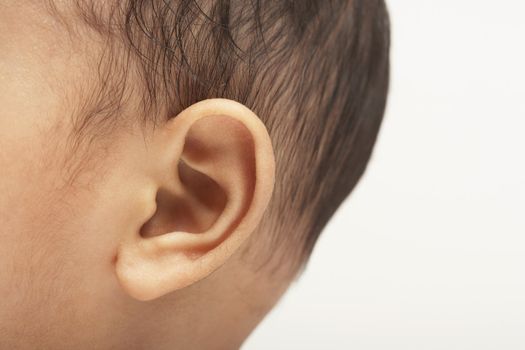 Baby Boy's Ear