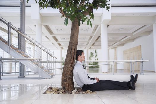 Businessman Napping under Tree