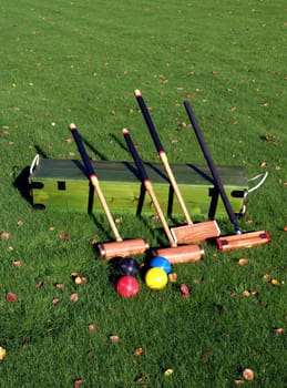 A Croquet set on the lawn    