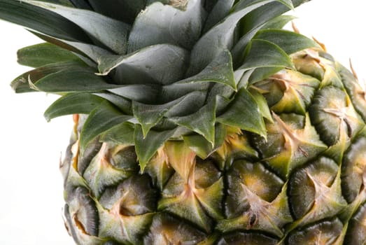 Part of a pineapple.