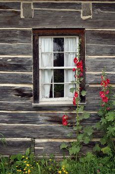Window of a wooden country house