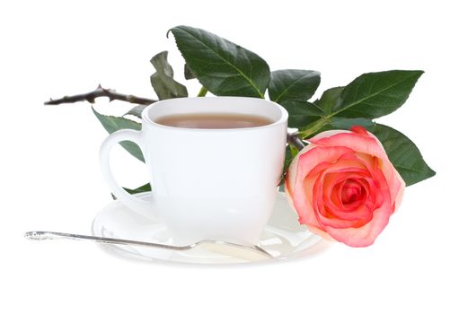 red white rose and cup of tea