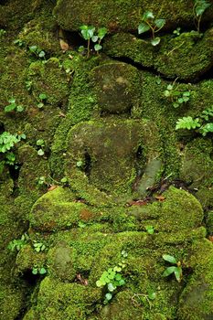 Green stone Buddha.
