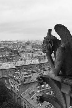 Gargoyle overlooking Paris