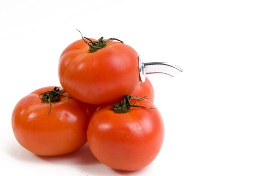 Tomato jucie distributor