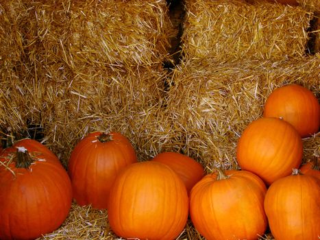 Pumpkins piled up on hay in an autumn scene
