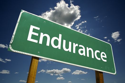 Endurance Road Sign