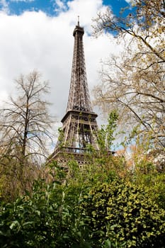 View at Eiffel Tower from park