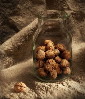 Still-life with nuts