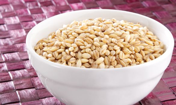 Barley in white bowl