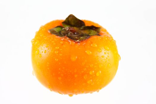 Persimmon splashed with water drops