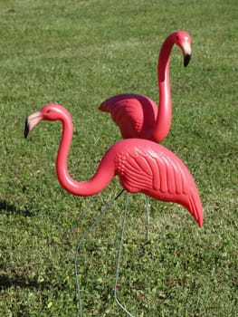 Two plastic pink flamingos on a green lawn