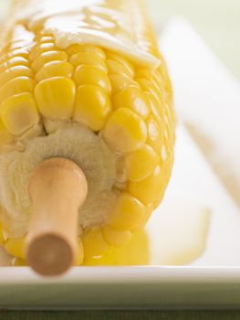 Corn on the Cob with Melted Butter