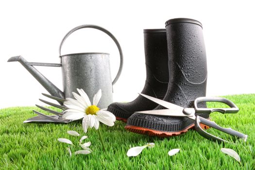 Boots with watering can and daisy in grass 