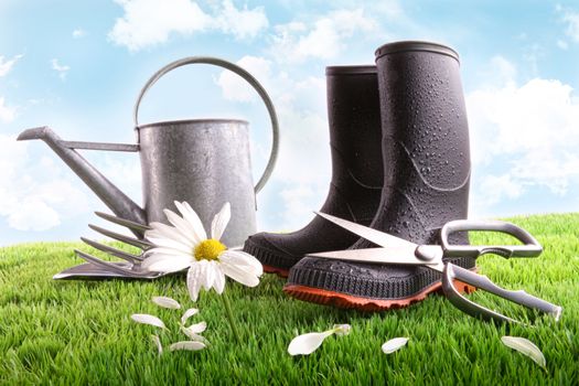 Boots with watering can and daisy in grass 