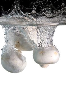 some mushrooms in water