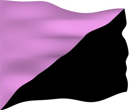 Anarchist Queer Flag