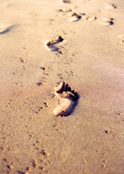 Fresh footprints on sand