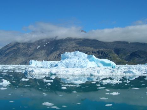 Melting icebergs