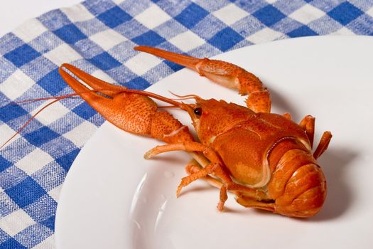 cooked crayfish