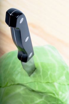 green cabbage with knife