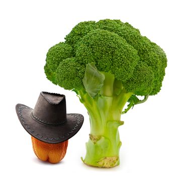 cool vegetables