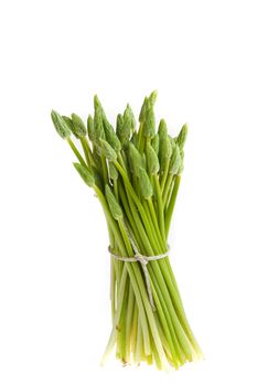 bunch of wild green asparagus