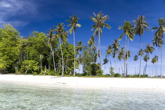 Tropical Island Paradise