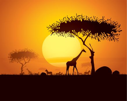 tranquil sunset scene in africa