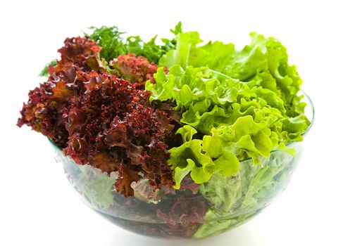 Some bunches of fresh salads in a glass bowl on a white background 
