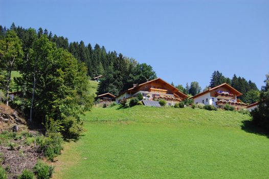 Typical Austrian houses 