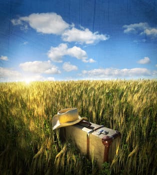 Old suitcase with straw hat in field