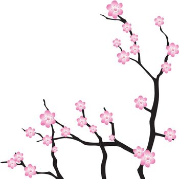 Oriental cherry branch. Vector Illustration