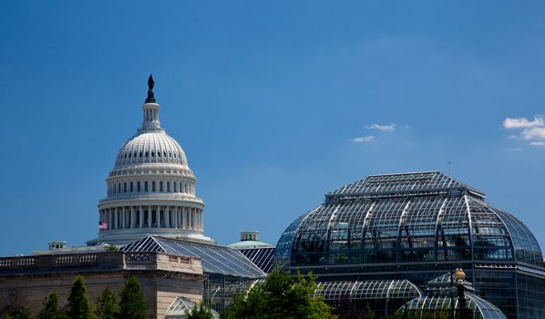 Capitol Building framed by Botanic Gardens