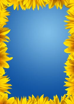 Sunflowers border