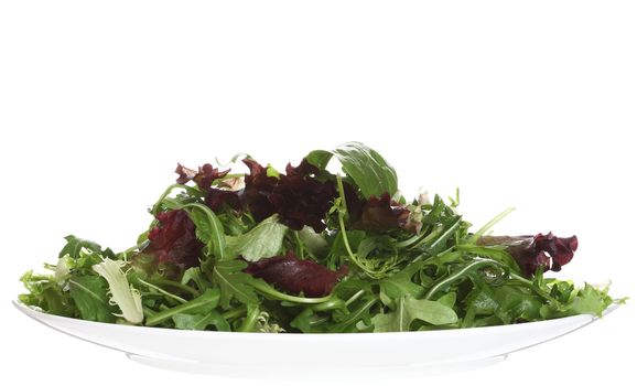 fresh leaf salad on white plate isolated