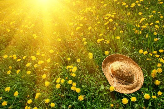 Rays of sun on green grass with straw hat