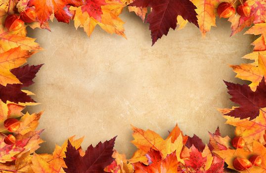 Autumn leaves frame with vintage paper background
