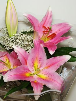 Bouquet of beautifull pink lillies close up