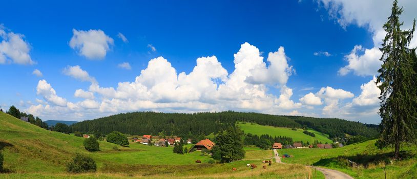 Sumer landscape - green fields, the blue sky