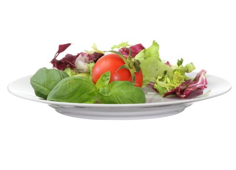 Vegetarian food (salad tomato basil)
