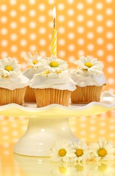 Cupcakes decorated with icing and little daisies