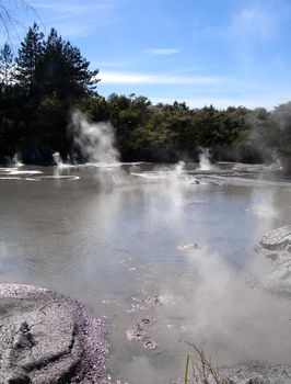 Geothermal Activity near Rotorua, New Zealand